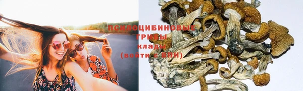 ALPHA PVP Армянск