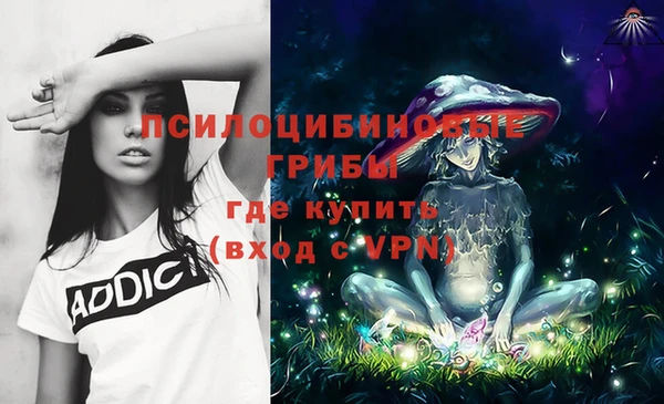 ALPHA PVP Армянск