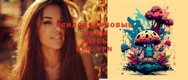 spice Арсеньев