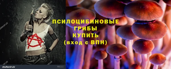 ALPHA PVP Армянск